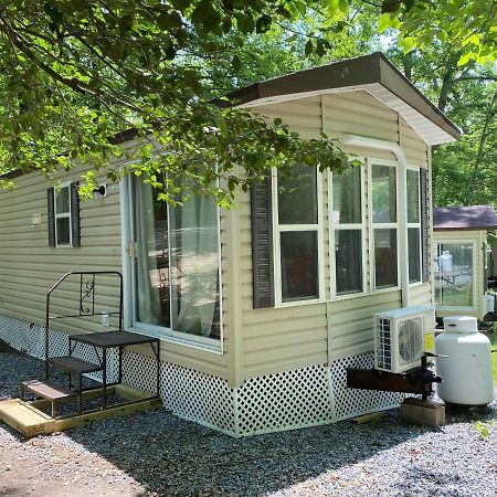 The Vintage Rv'S At Wilderness Presidential Camp Resort By Tripforth Spotsylvania 외부 사진