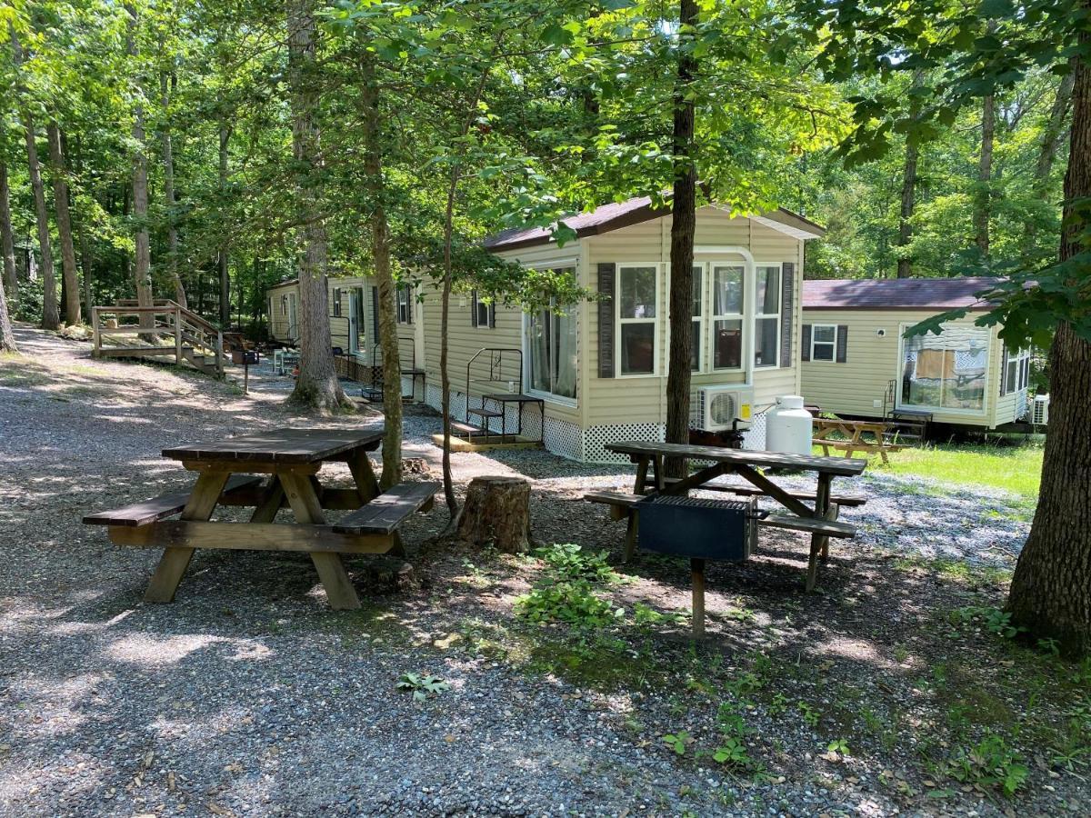 The Vintage Rv'S At Wilderness Presidential Camp Resort By Tripforth Spotsylvania 외부 사진