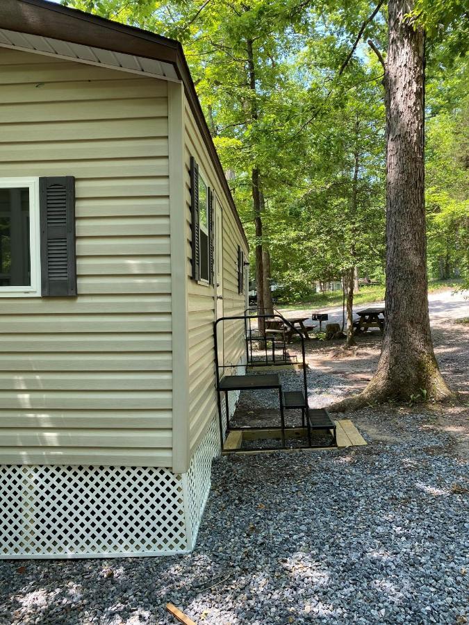 The Vintage Rv'S At Wilderness Presidential Camp Resort By Tripforth Spotsylvania 외부 사진